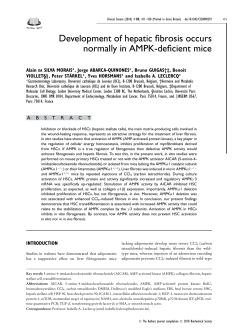 Development of hepatic fibrosis occurs normally in