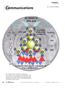 A Metal-Organic Framework with a Hierarchical System of Pores and