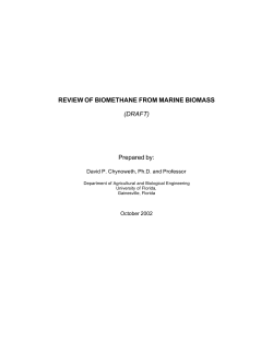 REVIEW OF BIOMETHANE FROM MARINE BIOMASS