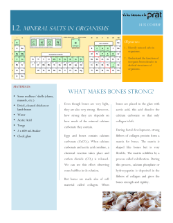 L2. MINERAL SALTS IN ORGANISMS