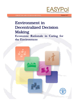 Environment in Decentralized Decision Making: Economic