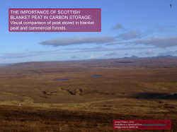 The Importance of Blanket Peat in Carbon Storage