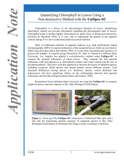 Quantifying Chlorophyll in Leaves Using a Non
