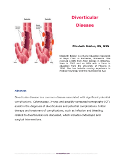 Preview the material