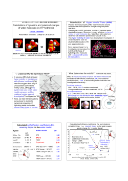 Calculations of dynamics and polarized charges of