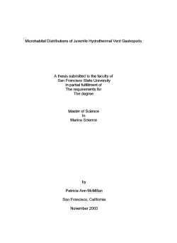 Microhabitat Distributions of Juvenile Hydrothermal Vent Gastropods