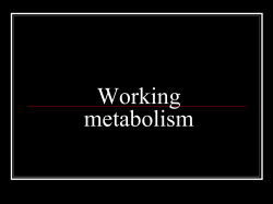 1. Working metabolism