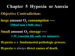 PowerPoint 演示文稿