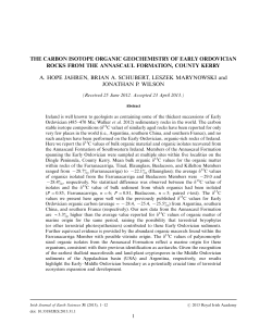 The Carbon Isotope Organic Geochemistry of Early Ordovician