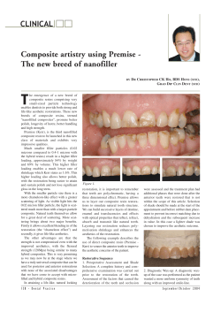Composite artistry using Premise
