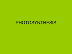 7.2 photosynthesis