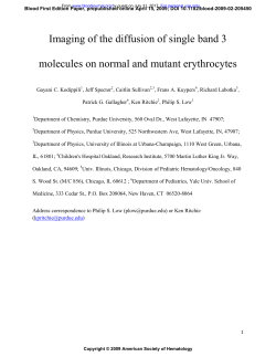 Imaging of the diffusion of single band 3 molecules