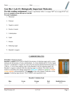Gen Bio 1 Lab #3: Biologically Important Molecules