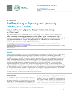 Seed biopriming with plant growth promoting rhizobacteria: a review