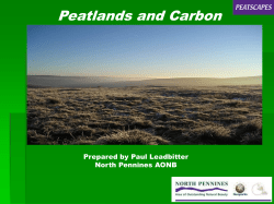 Peatscapes peatlands and carbon presentation2.08MBDownload
