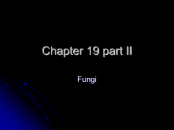 Chapter 23