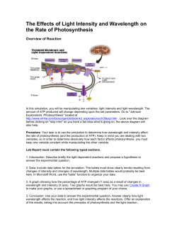 The Effects of Light Intensity and Wavelength on