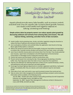 Simple actions taken by property owners can reduce aquatic plant