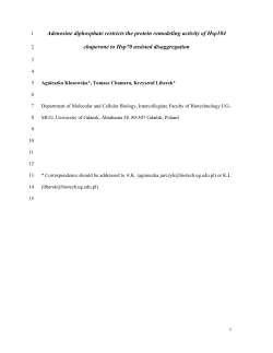 Adenosine diphosphate restricts the protein remodeling