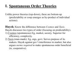Critique of Spontaneous Order Theories