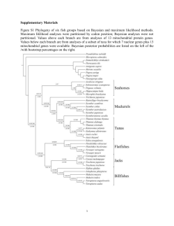 s12862-015-0453-7-s1