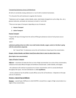 Stop &ndash; End of Quiz material Trimester 1 2013