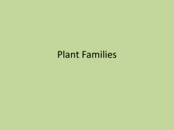Plant Families