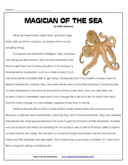 Octopus - Super Teacher Worksheets