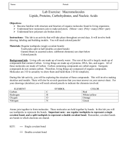Lab Exercise: Macromolecules