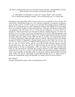 The effect of single protease enzyme on metabolic energy and