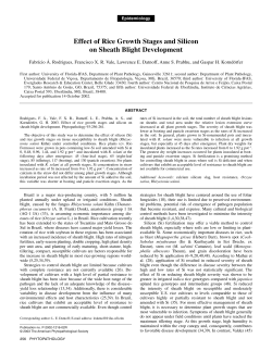 Effect of Rice Growth Stages and Silicon on Sheath