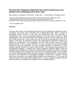 Inferring Gene Regulatory Networks that control maintenance and