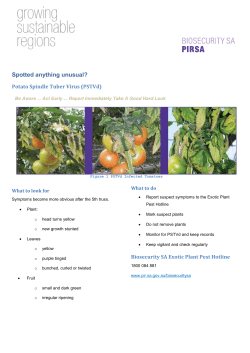 Potato Spindle Tuber Virus (PSTVd)