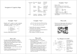 Navigation 4: Cognitive Maps Example: &ldquo;Toto&rdquo; Example: &ldquo;Toto