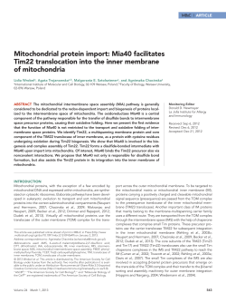 Mitochondrial protein import: Mia40 facilitates