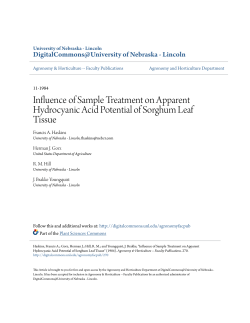 Influence of Sample Treatment on Apparent Hydrocyanic Acid