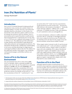 Iron (Fe) Nutrition of Plants1 - UF`s EDIS