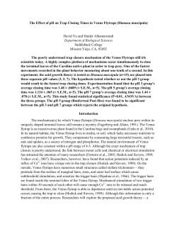 Yu and Alhamawendi - Saddleback College