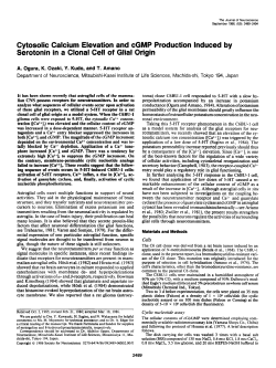 Cytosolic Calcium Elevation and cGMP Production Induced by