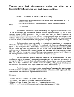 Tomato plant leaf ultrastructure under the effect of a