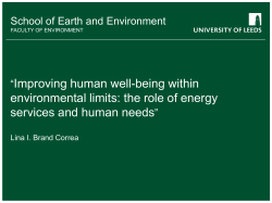 Human Needs and Energy Services