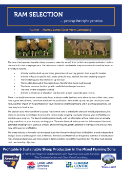 The time is fast approaching when sheep producers make the