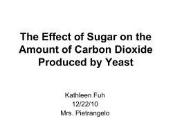 The Effect of Sugar on Carbon Dioxide Production in Yeast