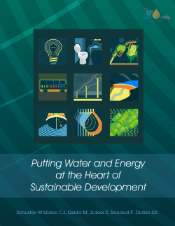 Putting Water and Energy at the Heart of Sustainable - UNU
