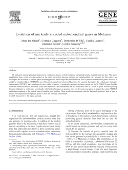 Evolution of nuclearly encoded mitochondrial genes in