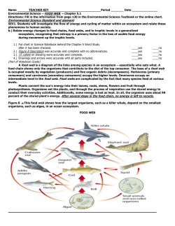CHART: Food Web - C.5.1