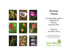 Briones Plants - East Bay Regional Park District
