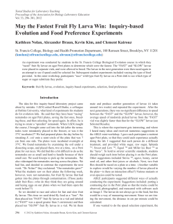 May the Fastest Fruit Fly Larva Win: Inquiry