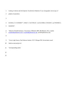 synchrotron radiation X-ray tomographic microscopy of planktic