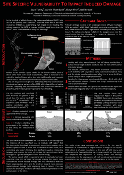 conclusions site specific vulnerability to impact induced damage
